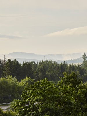 Aussicht über die Wälder der Eifel bei Morgenstimmung nahe dem Nürburgring