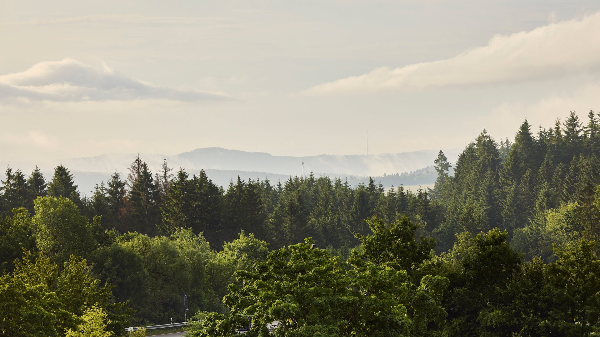 Aussicht über die Wälder der Eifel bei Morgenstimmung nahe dem Nürburgring