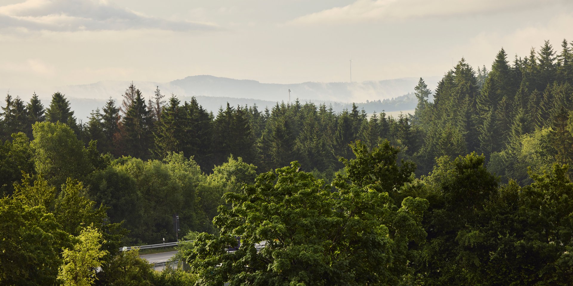 Aussicht über die Wälder der Eifel bei Morgenstimmung nahe dem Nürburgring